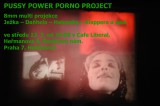 PPPP poster